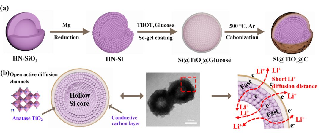 空心包裹硅负极材料研究：有效改善膨胀提高导电性