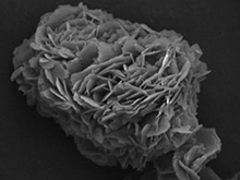 普渡大学宣布可用作电池材料的微波塑料处理技术
